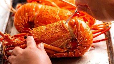 Enjoy the lobster claws dinner without any efforts