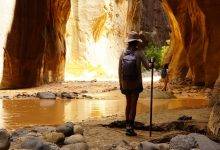 What to Bring When Hiking The Narrows in Zion
